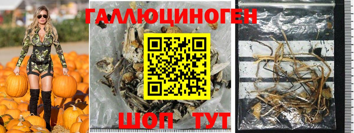 Галлюциногенные грибы мицелий  Вход с VPN  Ставрополь 